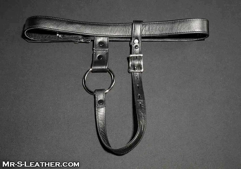 Mr. S Leather Butt Plug Harness, Lockable
