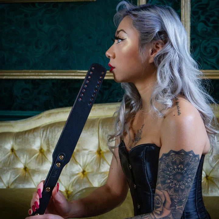 Temptasia Safe Word BDSM Complete Kit with Suitcase