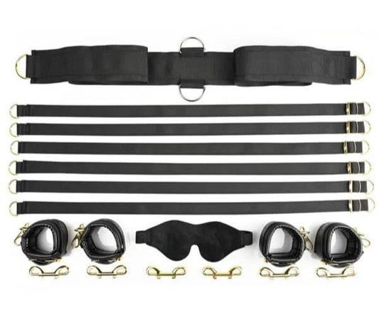 Special Edition Under The Bed Restraint System